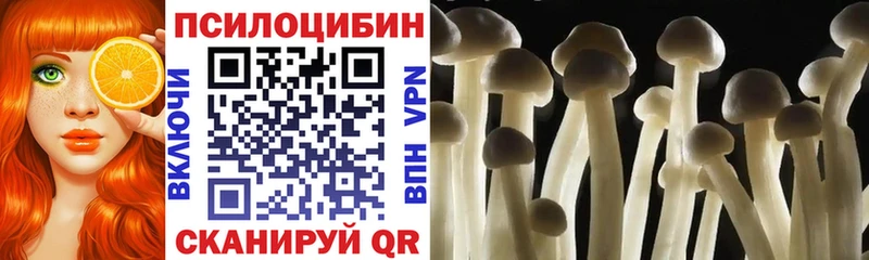 Псилоцибиновые грибы GOLDEN TEACHER Каспийск